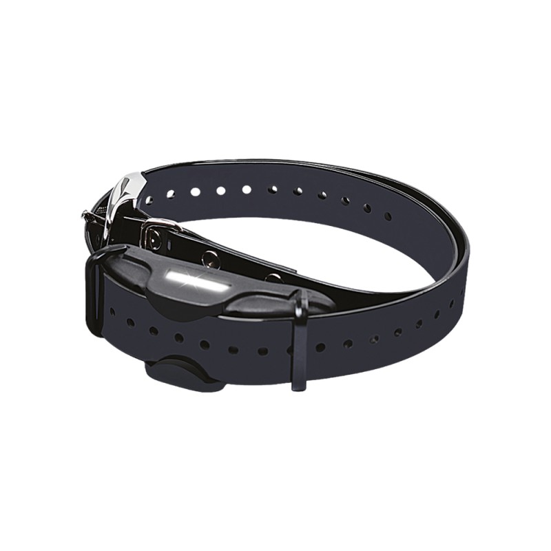 Coleira profissional Dresseur BITRABI para treinamento de cães — Outros — Airsoft Market PT